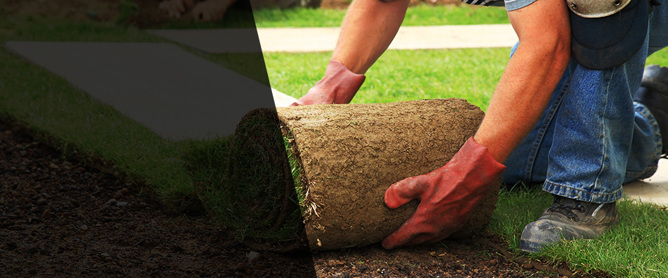 North Easton Landscapers